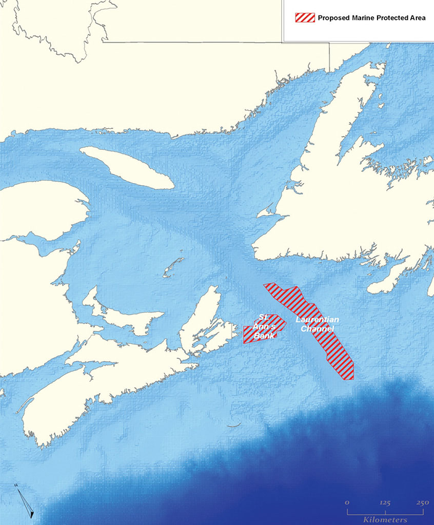 Figure 7: Proposed MPAs in Atlantic Canada (exact boundaries to be determined)