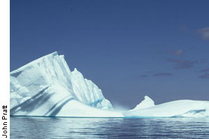 iceberg floating in ocean, Conception Bay, Newfoundland and Labrador