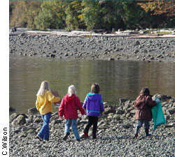 [PHOTO: Four children walking on a rocky coast]