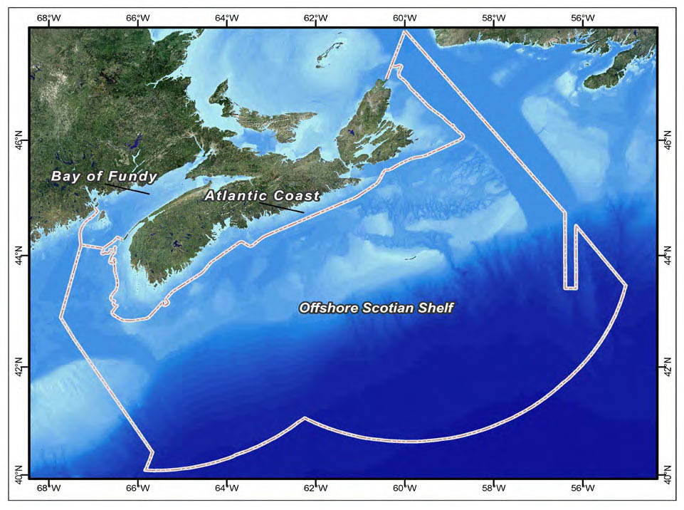 Figure 1: Planning Areas in Scotian Shelf-Bay of Fundy Bioregion, DFO Maritimes Region. Figure 1 is a map of the area covered by the Regional Oceans Plan showing the extent of the Exclusive Economic Zone and boundaries with the Newfoundland and Gulf Regions of DFO and with the US. It indicates the Bay of Fundy, Atlantic Coast and Offshore Scotian Shelf areas within this overall area.