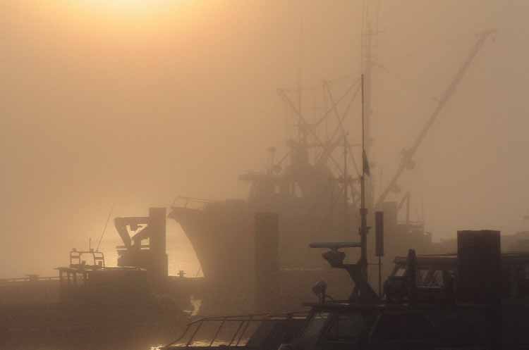 Brouillard enveloppant les bateaux de pêche commerciale à Port Edward. Photo prise par Jacob Joslin.