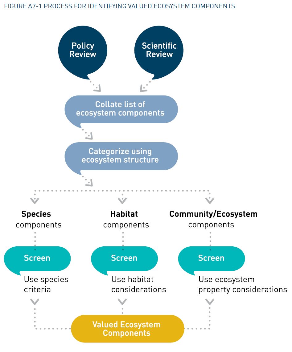 Figure A7-1 Process For Identifying Valued Ecosystem Components