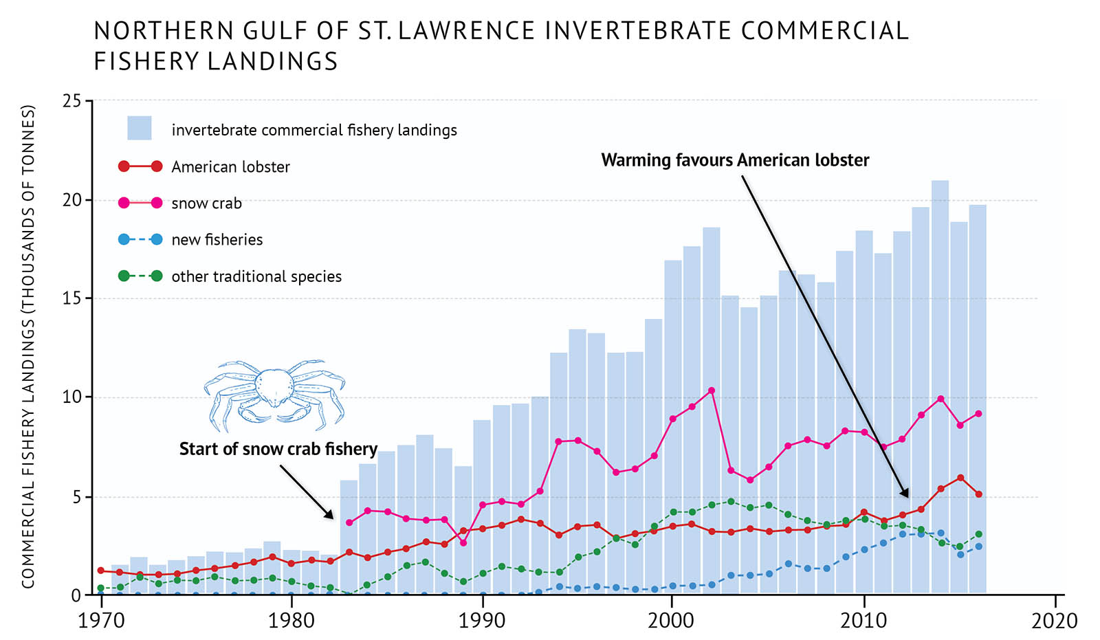 Figure 25: Commercial fishery landings for benthic invertebrates along with individual species in the northern Gulf of St. Lawrence. New fisheries include green sea urchin, sea cucumber and Arctic surf clam. Other traditional species are Atlantic rock crab, Hyas crab, giant scallop, whelk, common softshell clam, Atlantic jacknife clam and Atlantic surfclam. A bar and line graph illustrates the commercial fishery landings for benthic invertebrates as well as individual species in the northern Gulf of St. Lawrence. Text above the graph says “Northern Gulf of St. Lawrence Invertebrate Commercial Fishery Landings”.The vertical axis on the left shows the survey biomass in units of thousands of tonnes from 0 to 25 in increments of 5. The bottom horizontal axis shows the years between 1970 and 2020 in 10 year increments. The commercial fishery landings for benthic invertebrates is represented by light blue vertical bars. The data extends from 1970 to 2016. The commercial landings are less than 5 thousand tonnes in the 1970s and early 1980s. In 1983 it jumps up above 5 thousand tonnes and continually increases with some fluctuations until it is near 20 thousand tonnes by the mid-2010s. The commercial fishery landings of individual species are represented by coloured lines on the same graph. A legend appears on the left. A red data line shows the commercial fishery landings of American lobster. A pink data line shows the commercial fishery landings of snow crab. A light blue dashed data line shows the commercial fishery landings for new fisheries. A green dashed data line shows the commercial fishery landings for other traditional species. The trend for American lobster landings starts below 5 thousand tonnes and gradually increases over the period of the graph ending near 5 thousand tonnes by the mid-2010s. The landings for other traditional species and new fisheries are lower than American lobster. The other traditional species landings begin to gradually increase in the 1980s and 1990s until they near 5 thousand tonnes and then decrease to near 3 thousand tonnes in the mid-2010s. The new fisheries landings begin to increase in the 1990s and are near 2 to 3 thousand tonnes by the mid-2010s. The snow crab landings begin in 1983 below 5 thousand tonnes. They increase in the 1990s and near 10 thousand tonnes by the early 2000s. They drop and then gradually increase in the mid-late 2000s and 2010s again nearing 10 thousand tonnes. A small, light blue outline drawing of a snow crab is placed above the vertical bars to the left-hand side of the graph. Below the drawing there is text which states “Start of snow crab fishery”. An arrow points from the text to the start of the pink data line in 1983. Another line of text above the vertical bars on the right-hand side of the graph says “Warming favours American lobster”. An arrow points from the text to the red data line in the 2010s.