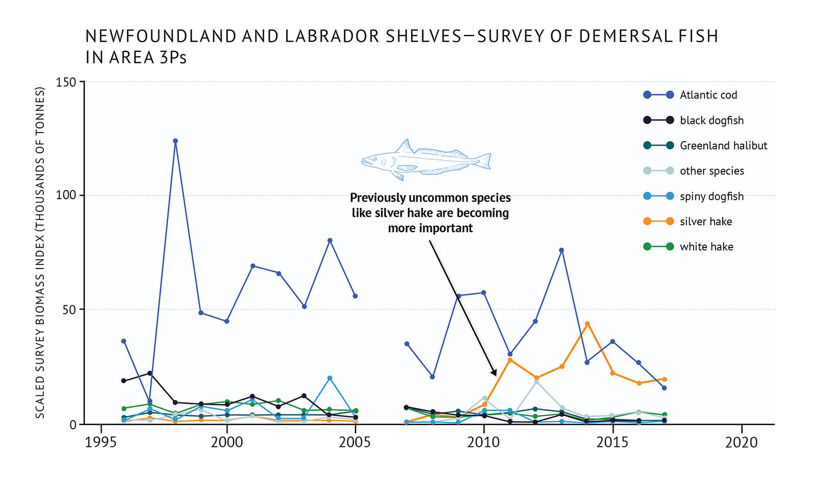 Figure 38: Survey biomass of individual demersal fish species in 3Ps on the Newfoundland and Labrador Shelves. A line graph illustrates the survey biomass for demersal fish species in the 3Ps NAFO zone of the Newfoundland and Labrador Shelves. Text above the graph says “Newfoundland and Labrador Shelves Survey of Demersal Fish in Area 3Ps”. The vertical axis on the left shows the scaled survey biomass index in units of thousands of tonnes from 0 to 150 in increments of 50. The bottom horizontal axis shows the years between 1995 and 2020 in 5 year increments. The survey biomass for each demersal fish species is represented by different coloured lines on the same graph. The data starts in 1996 and ends in 2017, but there is no data for 2006. A legend appears on the right. A dark blue data line illustrates the survey biomass trend for Atlantic cod. A black data line illustrates the survey biomass trend for black dogfish. A dark green data line illustrates the survey biomass trend for Greenland halibut. A light blue data line illustrates the survey biomass trend for other species. A blue data line illustrates the survey biomass trend for spiny dogfish. An orange data line illustrates the survey biomass trend for silver hake. A green data line illustrates the survey biomass trend for white hake. Atlantic cod has the highest biomass of species in the graph in most years. There is a peak at approximately 125 thousand tonnes in 1998, but it generally fluctuates between 25 to 80 thousand tonnes. It decreases from 2015. The other species generally stay below 10 thousand tonnes. The black dogfish biomass is near 20 thousand tonnes in the mid-1990s, but then decreases below 10 thousand toones and decreases again in the 2010s. The Greenland halibut is near 5 thousand tonnes throughout the timespan. Spiny dogfish is generally near or below 5 thousand tonnes with a couple of higher years in the early 2000s approaching 10 to 20 thousand tonnes. Silver hake is near 5 thousand tonnes until the 2010s when it begins to increase and fluctuates around 20 thousand tonnes with a peak of near 50 thousand tonnes in 2014. White hake is generally fluctuates around 5 thousand tonnes with a couple of years approaching 10 thousand tonnes in the early 2000s. A small, light blue outline-drawing of a silver hake is placed above the data lines near the middle of the graph. Below the drawing there is text which states “Previously uncommon species like silver hake are becoming more important”. An arrow points from the text to the orange line in the 2010s.