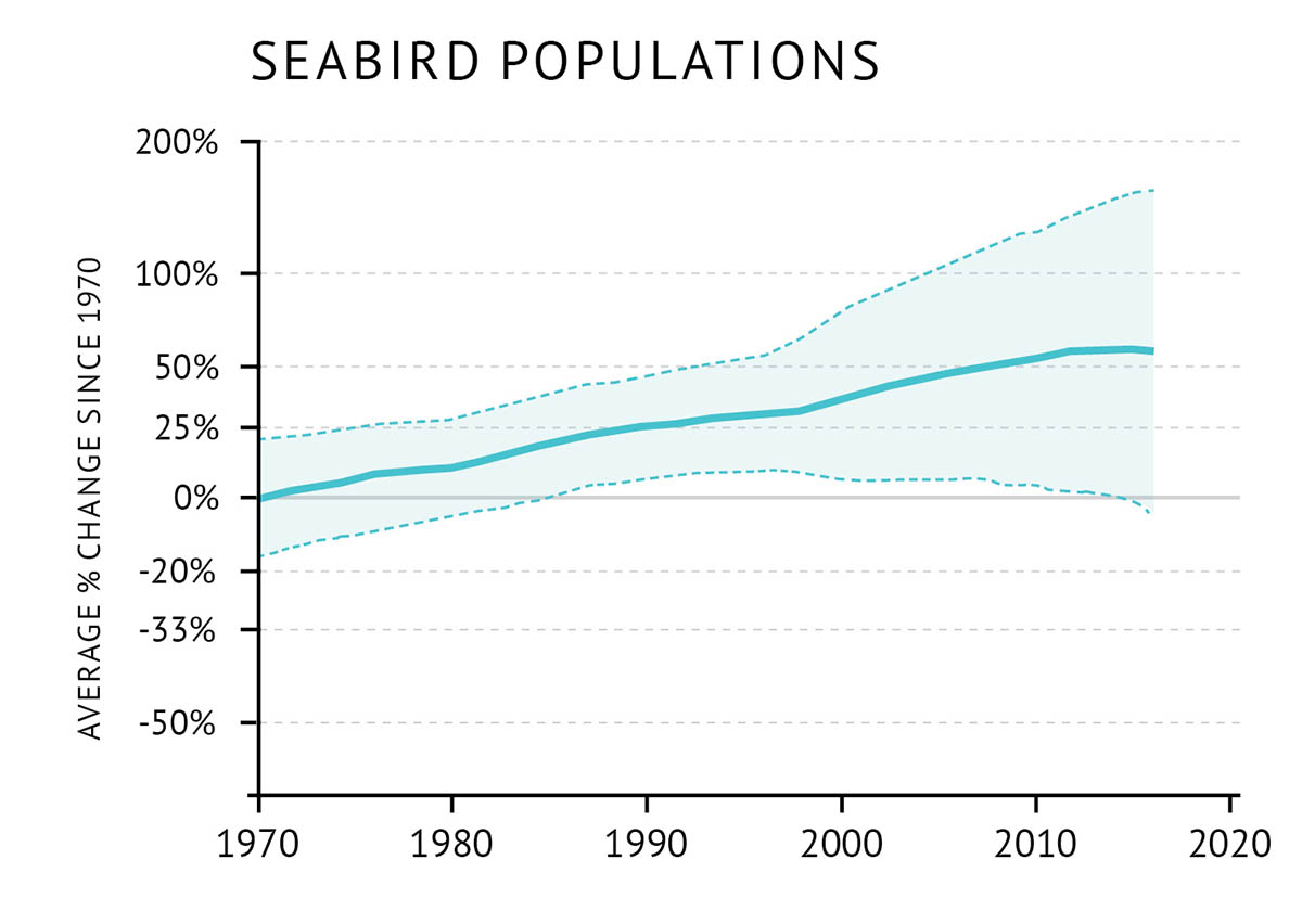 Figure 41: Average percent change in population size since 1970 of 20 breeding seabirds in eastern Canada for which data is available. A line graph illustrates the change in population size for seabird populations in eastern Canada. Text above the graph says “Seabird Populations”. The vertical axis on the left shows the average percent change since 1970 from -50% to 200%. The bottom horizontal axis shows the years from 1970 to 2020 in increments of 10. The average percent change in seabird populations is represented by a blue data line with a shaded blue area above and below the data line representing the confidence interval. The trend in average percent population size starts at 0% in 1970 and increases to above 50% in the 2010s.
