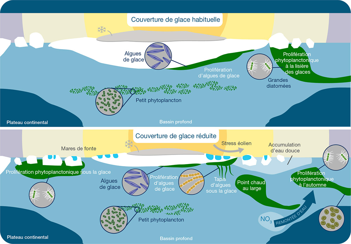 Infographie. Voir description ci-dessous.