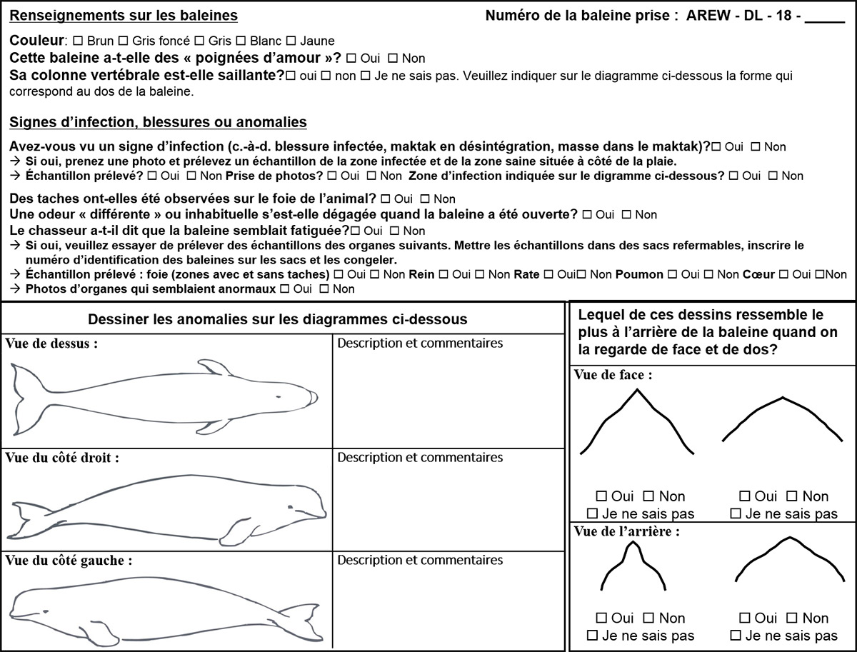 Carte. Voir description ci-dessous.