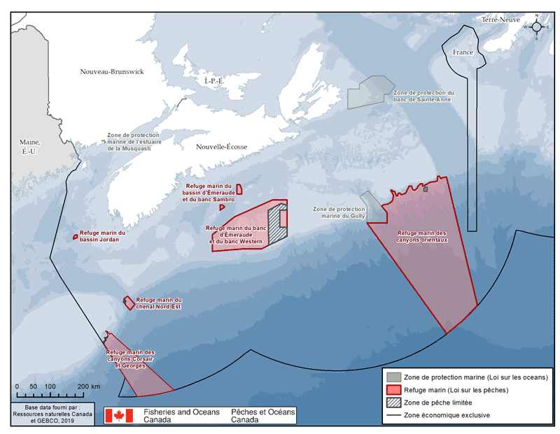 description de l'image ci-dessous
