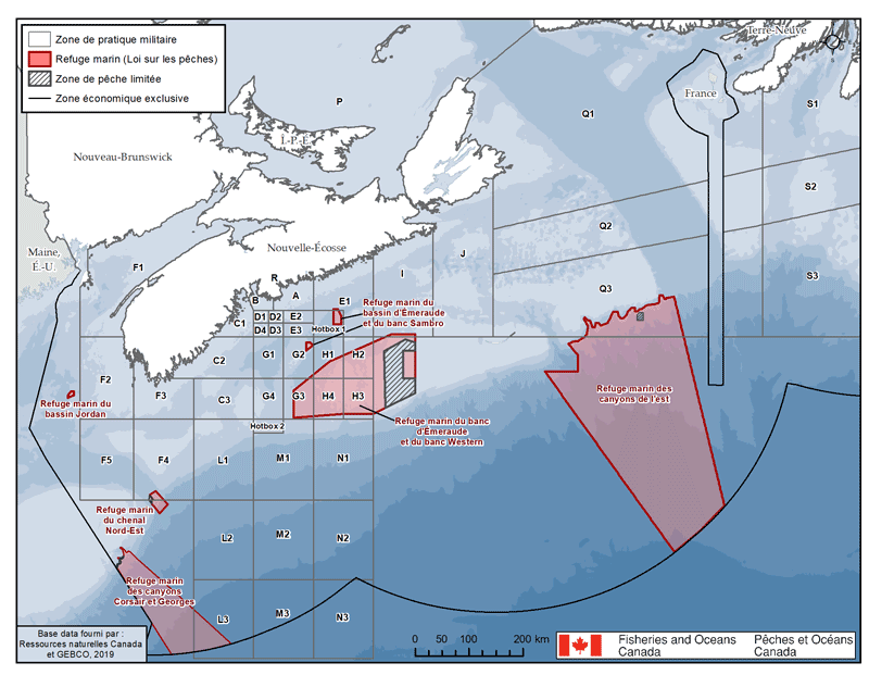 description de l'image ci-dessous