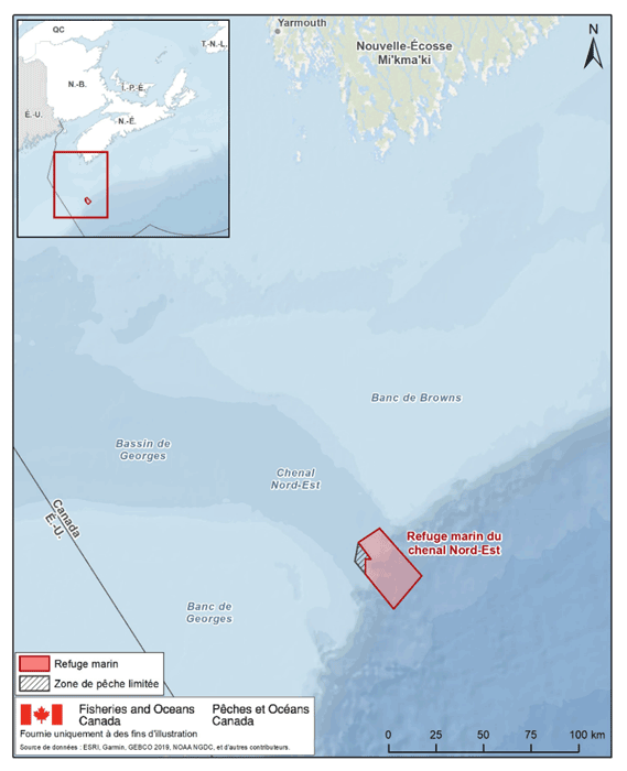description de l'image ci-dessous