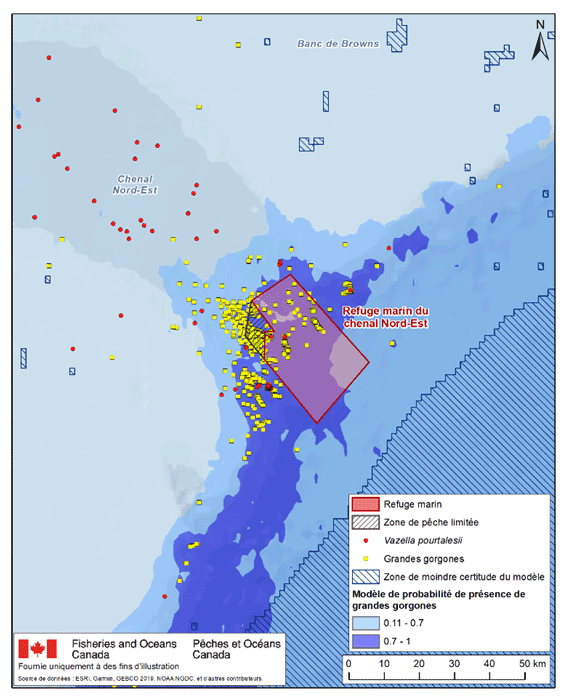 description de l'image ci-dessous