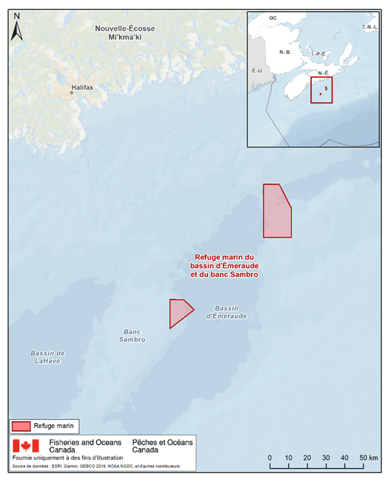 description de l'image ci-dessous