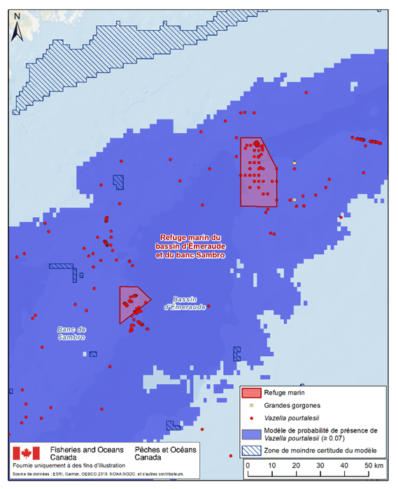 description de l'image ci-dessous
