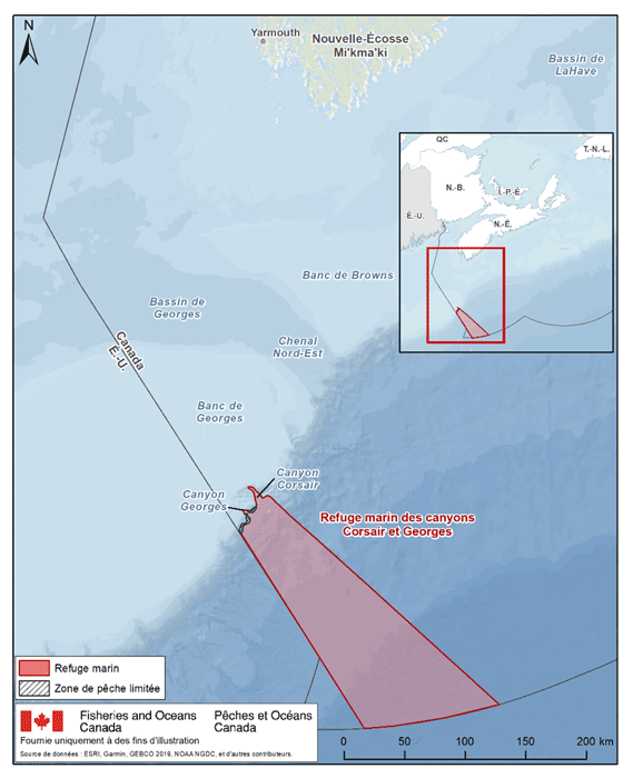 description de l'image ci-dessous