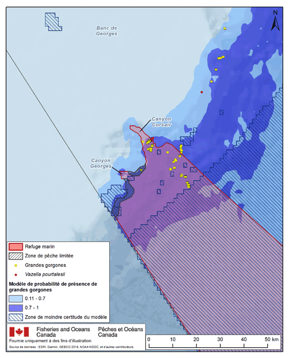 description de l'image ci-dessous