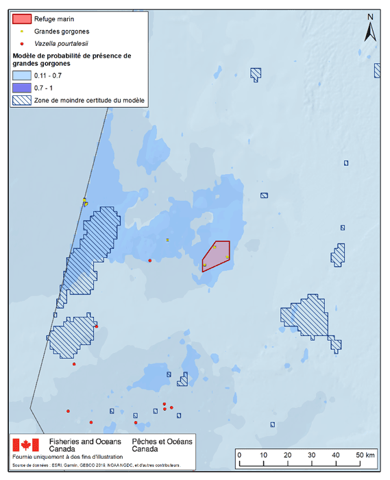 description de l'image ci-dessous