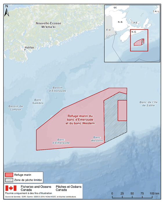description de l'image ci-dessous