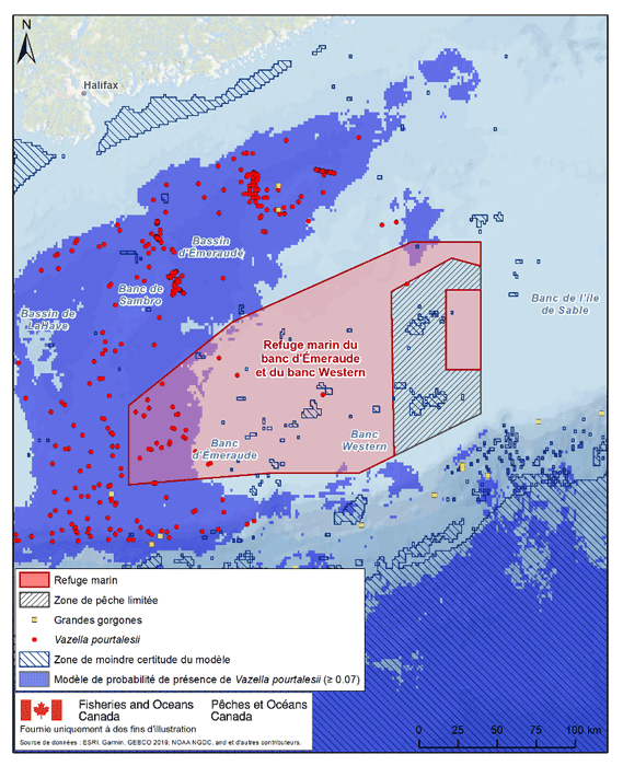 description de l'image ci-dessous