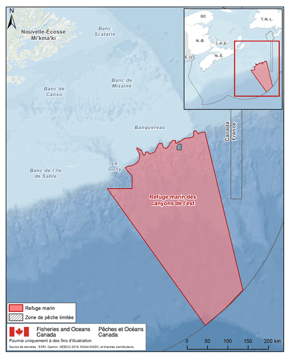description de l'image ci-dessous