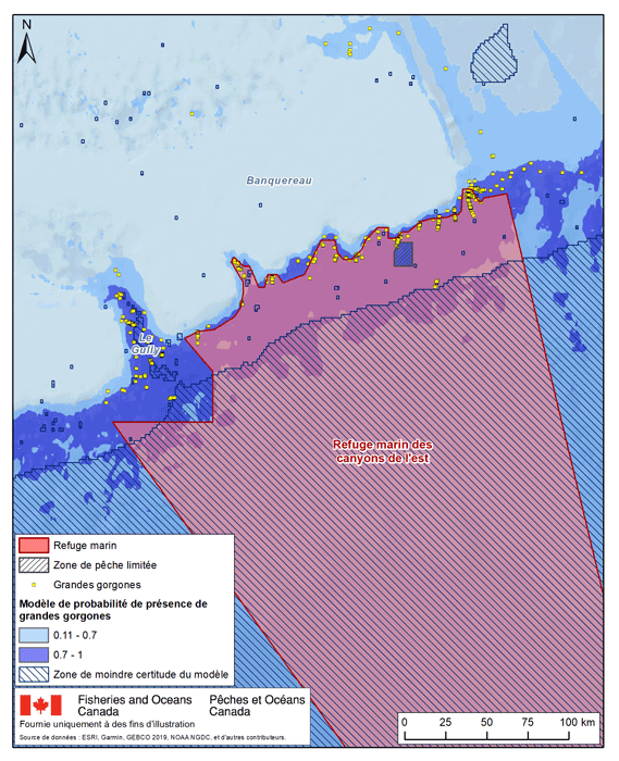 description de l'image ci-dessous