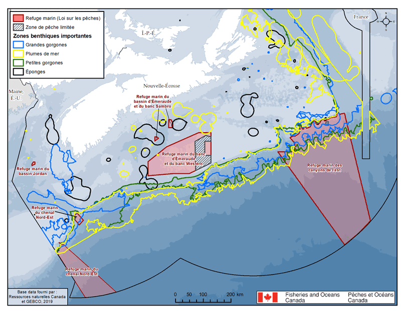 description de l'image ci-dessous