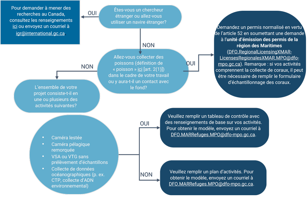 description de l'image ci-dessous