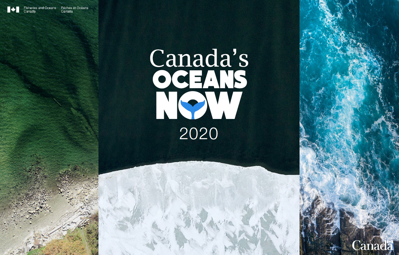 Report cover photo for Canada’s Oceans Now, 2020