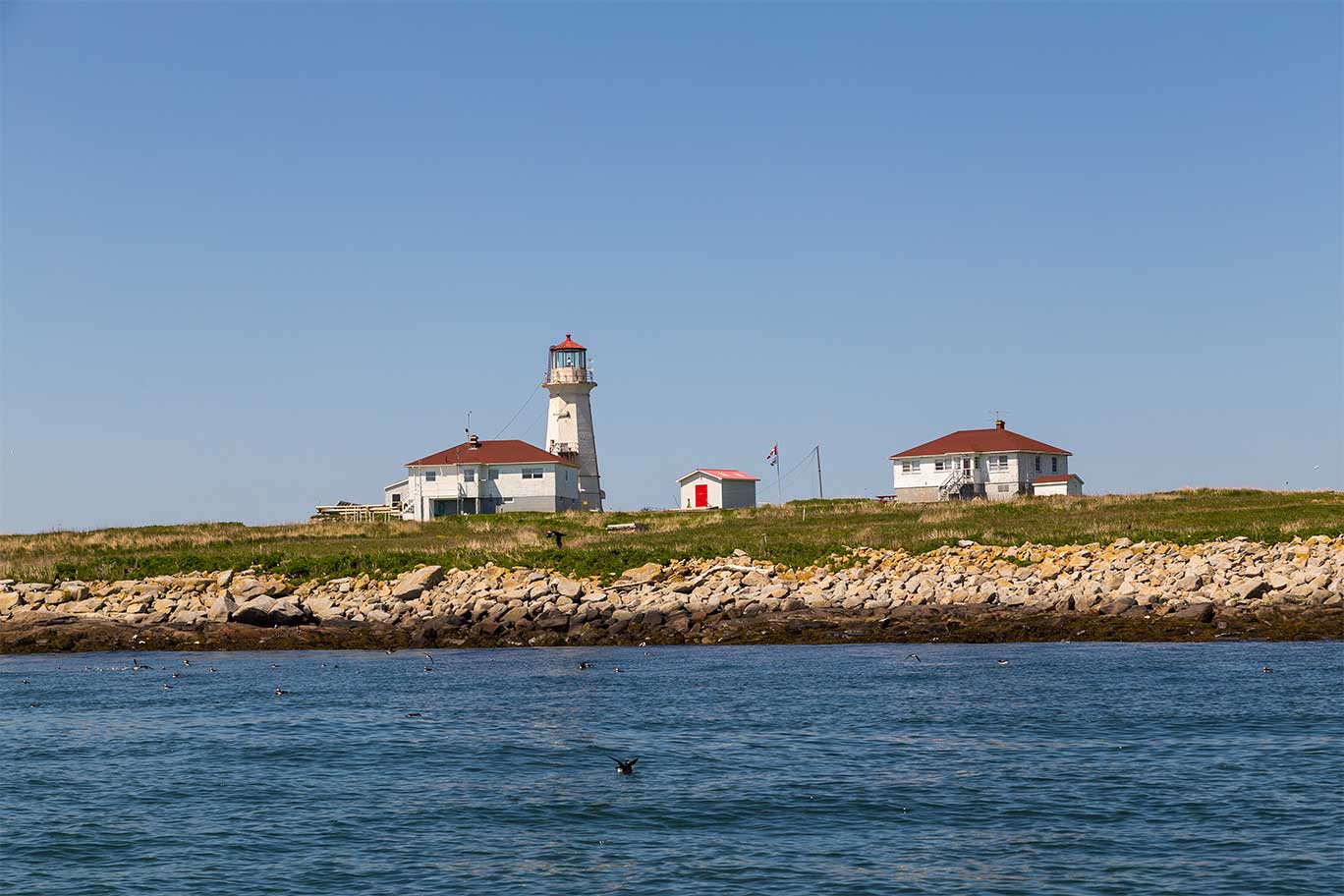 Machias Seal Island. Grand Manan, New Brunswick. © Shutterstock