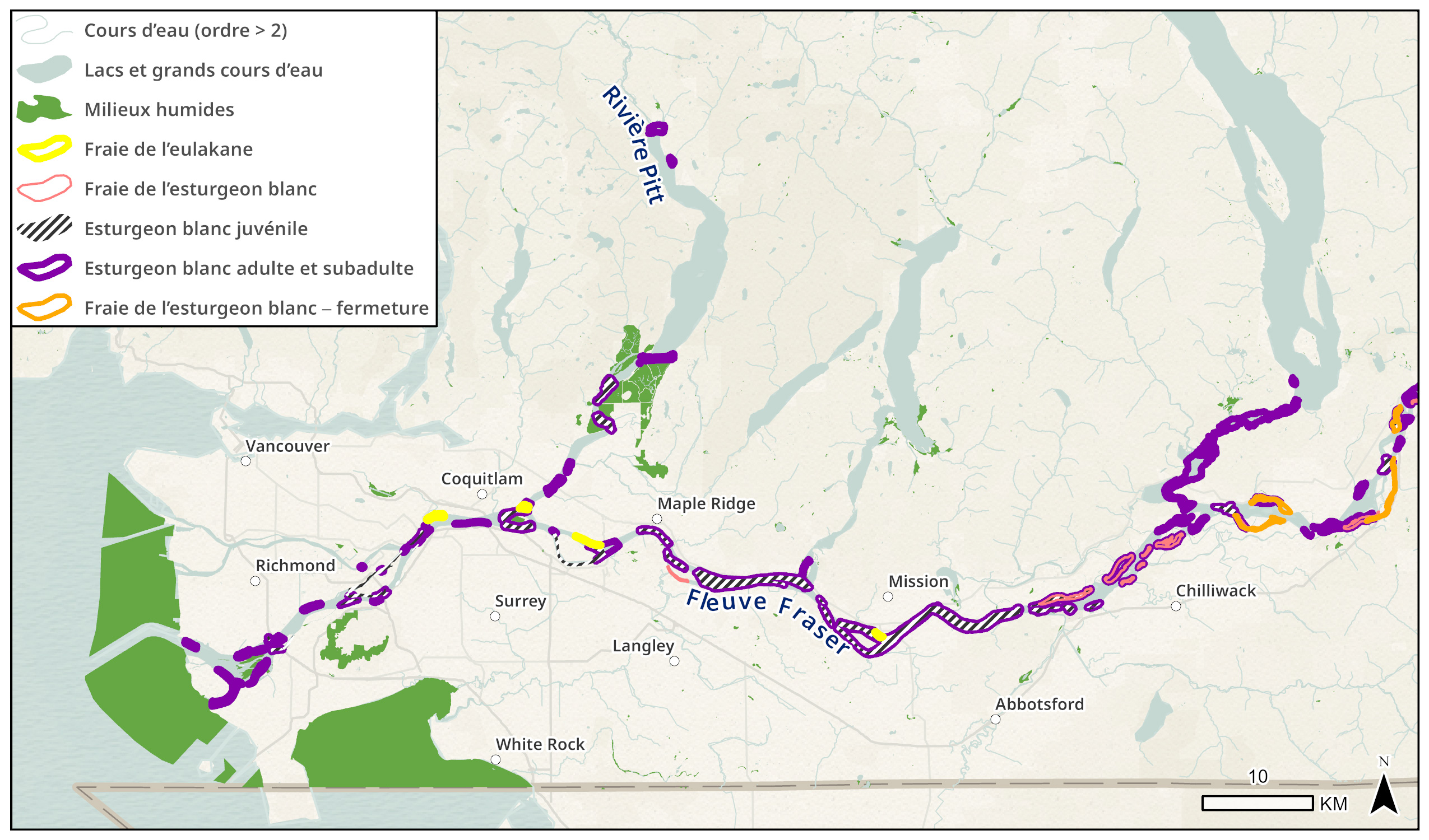Carte montrant les emplacements de l'habitat essentiel de l'eulakane et de l'esturgeon blanc dans le bas Fraser, avec des zones ombrées représentant les habitats de chaque espèce et diverses villes et villages de la région.