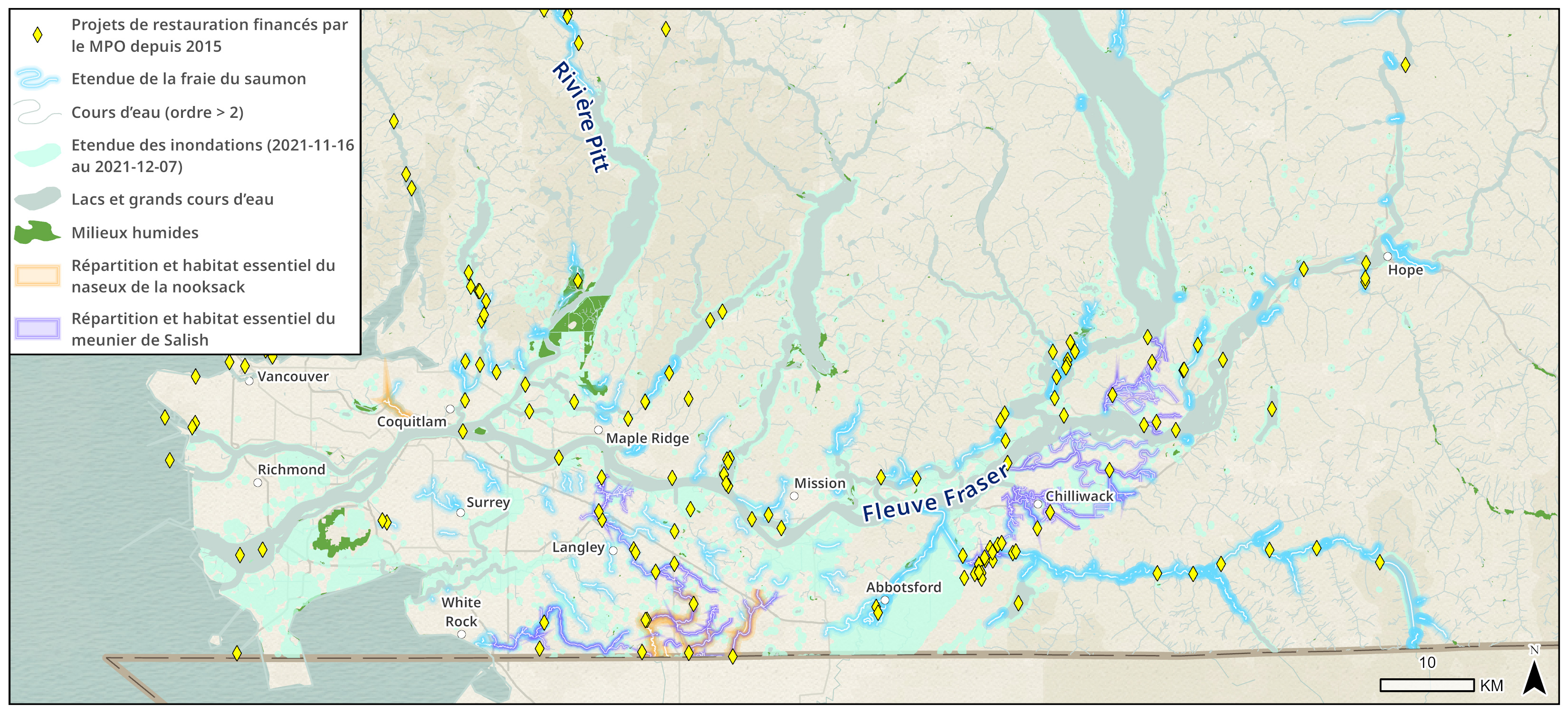 Zones inondées dans la région du bas Fraser en ce qui concerne les sites de restauration, les étendues de frai du saumon et l'habitat important pour le poisson.