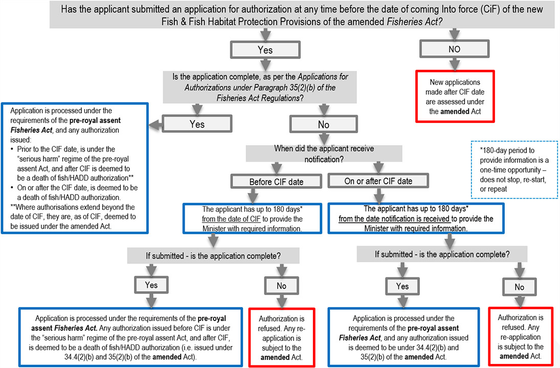 Figure 2: Management of Applications for Authorizations During the Transition to the Amended Fisheries Act