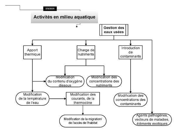 Gestion des eaux usées