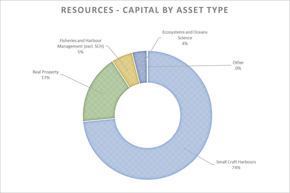 Graph outlining capital resources by asset type.