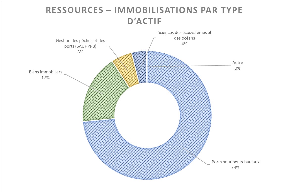 Graphique présentant les ressources en capital par type d'actif.