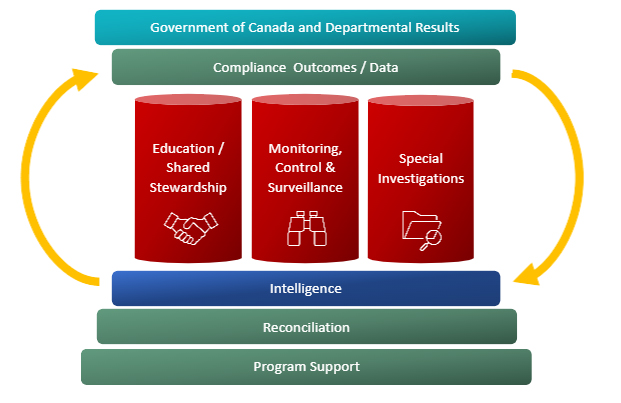 Graphic illustrating different components of the national C&P delivery model.