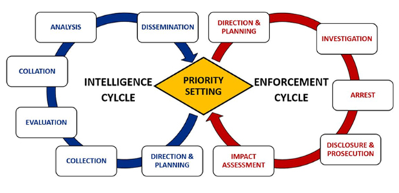 Graphic illustrating two interconnected processes: intelligence cycle and enforcement cycle.