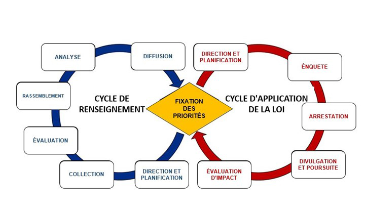 Illustration illustrant deux processus reliés : cycle du renseignement et cycle d&rsquo;application de la loi.