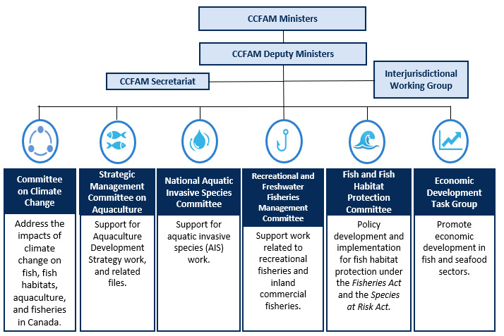Graphic outlining CCFAM hierarchy.