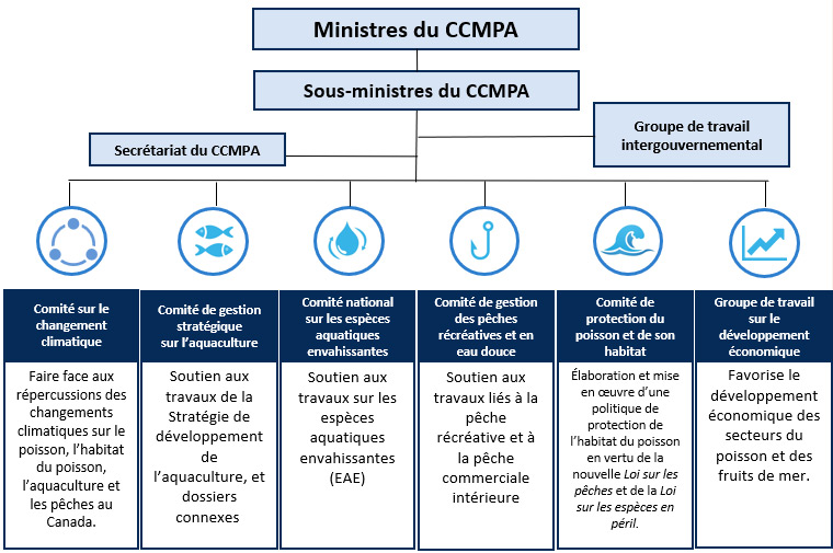 Illustration présentant la hiérarchie du CCMPA.