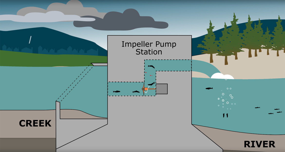 An image of a metal impeller pump station which allows fish to migrate through it when the blades are activated. Water and fish move from a creek to a river.