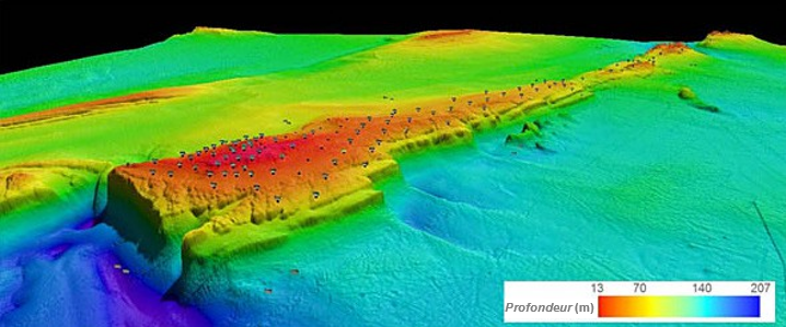 Figure 2 : Représentation de 2012 en 3 dimensions de la crête (section centrale) du banc des Américains et des stations d'échantillonnage en imagerie benthique