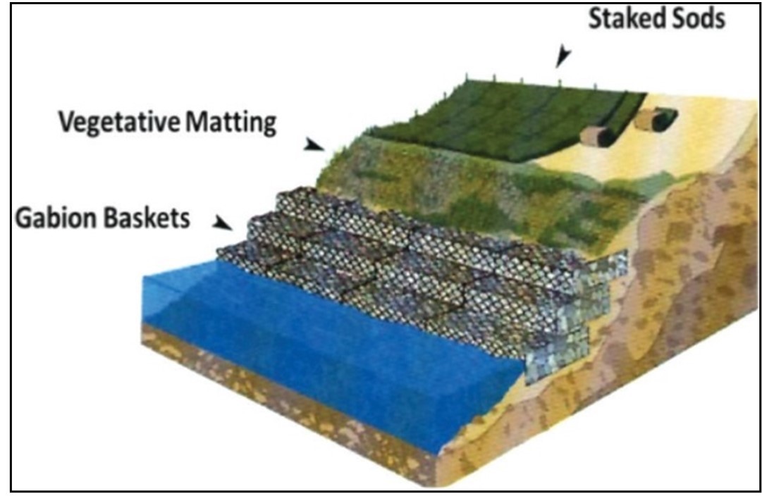 Examples include staked sods, vegetative matting and gabion baskets.