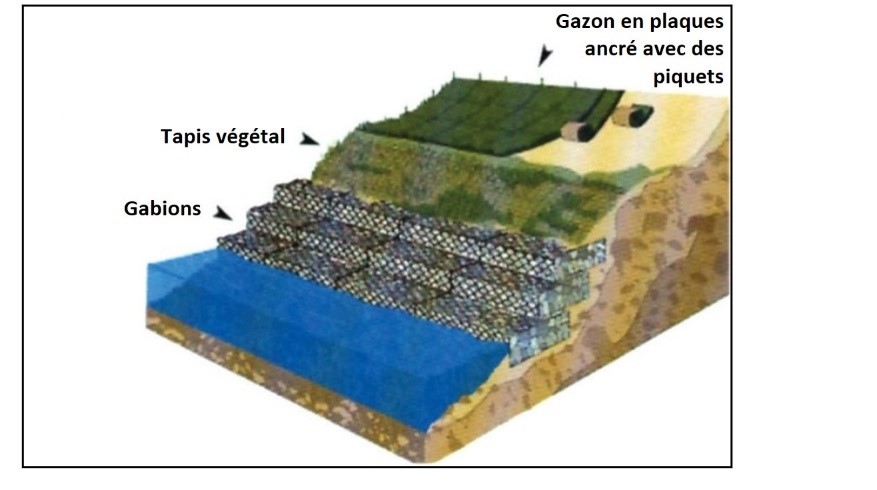 Les exemples incluent les plaques de gazon ancré avec des piquets, les tapis végétaux et les gabions.