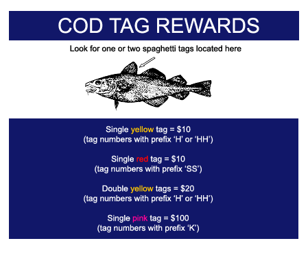Cod Tag Rewards