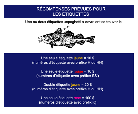 Réconpenses prévues pour les étiquettes