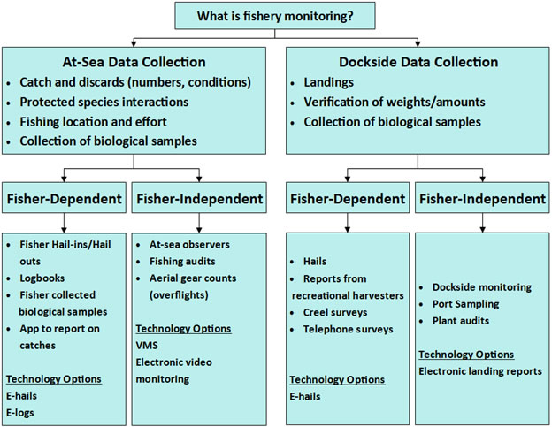 Annex 1: Examples of fishery monitoring data collection methods