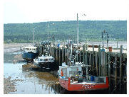 Vessels berthed at Advocate Harbour at low tide.