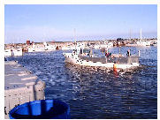 Un bateau accostant au quai du port d'Escuminac.