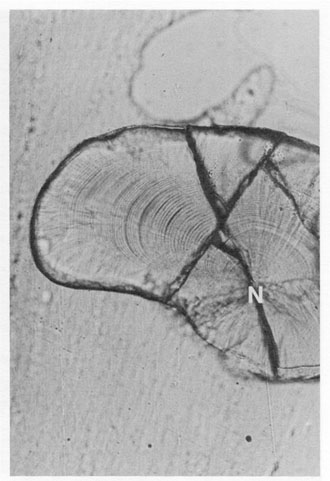 Fig.10