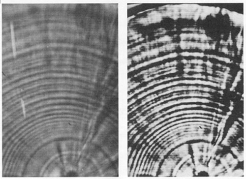 Fig.2